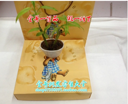 天正恒業(yè) 生日福利 天正恒業(yè) 生日福利